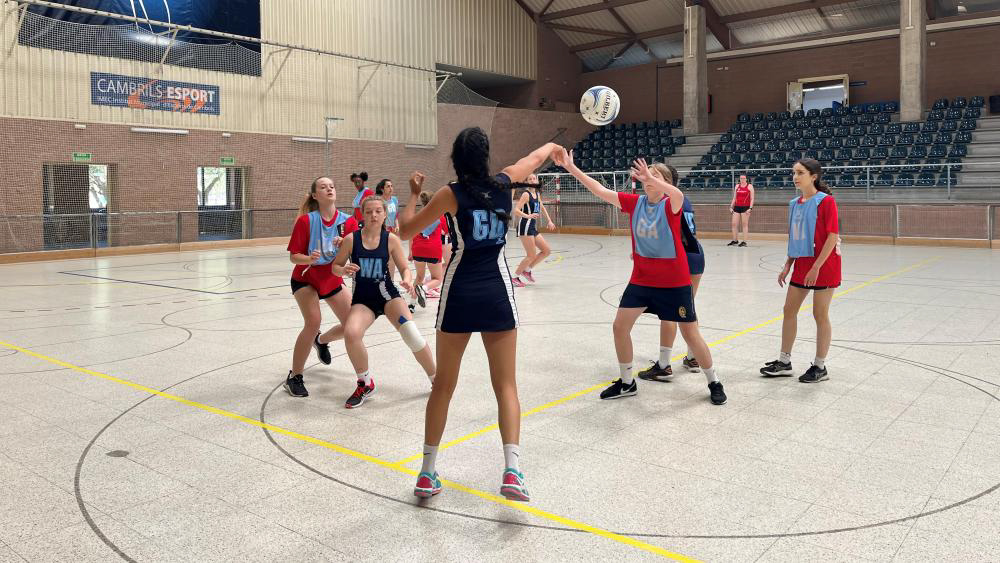 cambrills netball