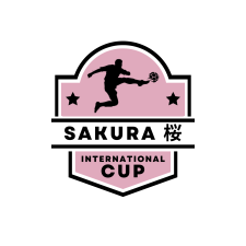 Arena World Cup (3)
