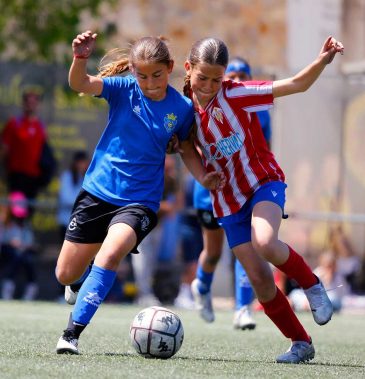 G12-1-(12)